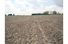 Property photo 4 - 114+/- Acres Offered in 4 Tracts